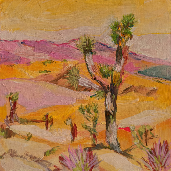 Joshua Tree # 2 by Kate Joiner