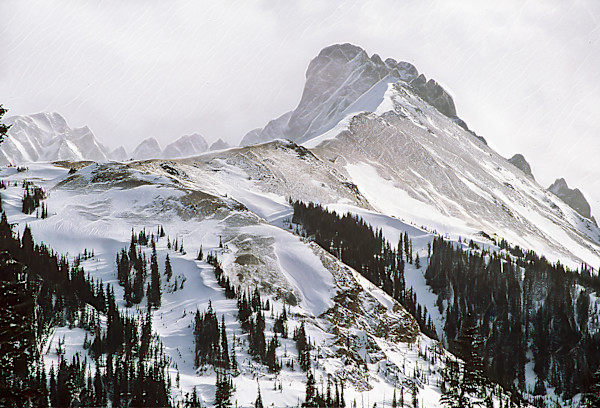 Cameron Pass Overlook by Lewis Jackson