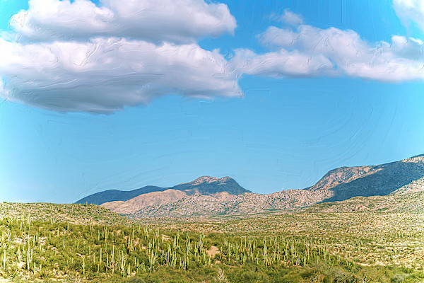 Catalina Mountains Vista by Lewis Jackson