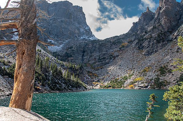 Emerald Lake, with Tree by Lewis Jackson