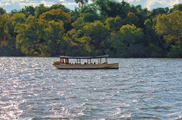Evening on the Zambezi River