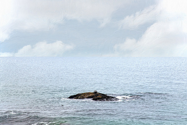 Farewell to the Sea by Lewis Jackson