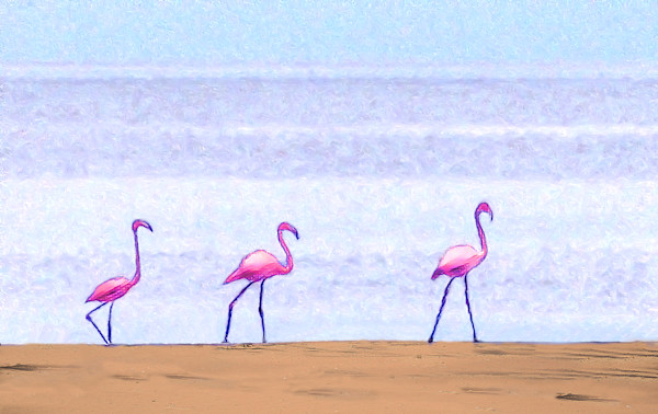 Flamingos by Lewis Jackson