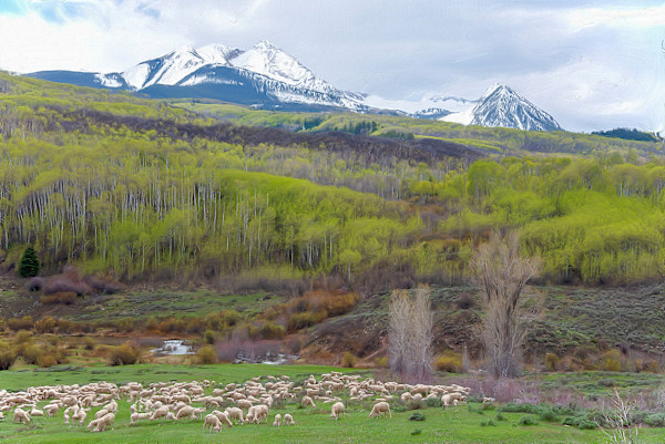 Sheep Grazing, Early Spring by Lewis Jackson