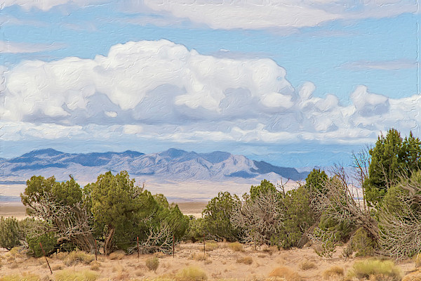 Great Basin Vista by Lewis Jackson