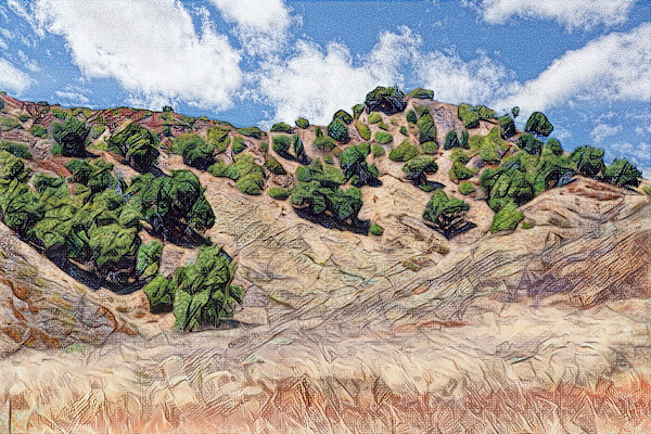 Hillside, Southern California by Lewis Jackson