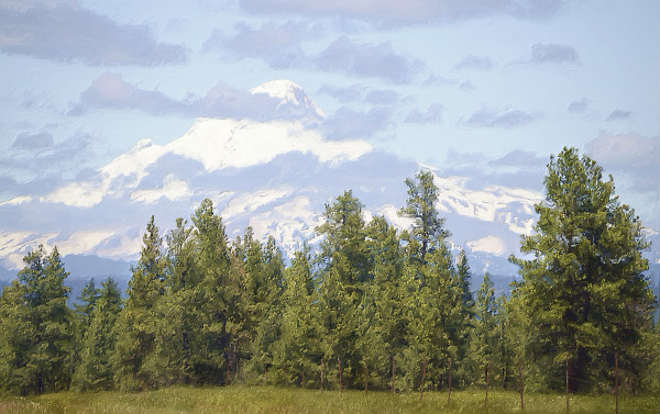 Mount Hood by Lewis Jackson