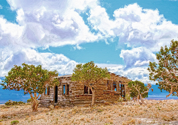 Abandoned Pioneer Home by Lewis Jackson