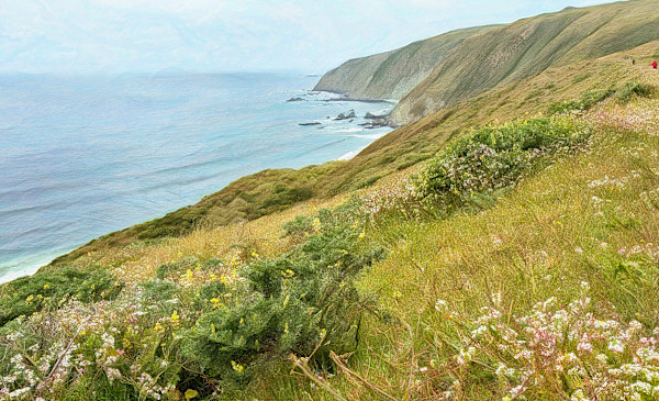 Point Reyes Landscape by Lewis Jackson, Image 1.