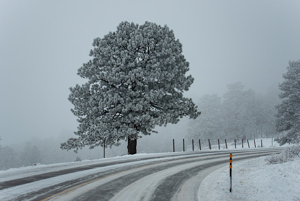 Precarious Mountain Drive by Lewis Jackson