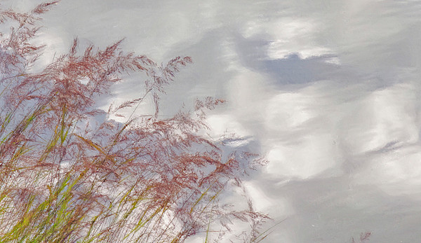 An Evening in the San Juan Mountains 5 by Lewis Jackson