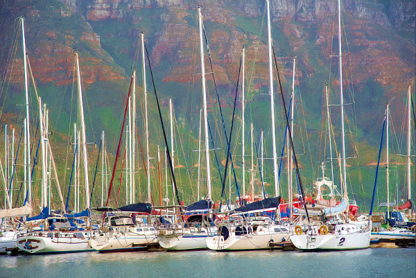 Sailboats at Bay by Lewis Jackson