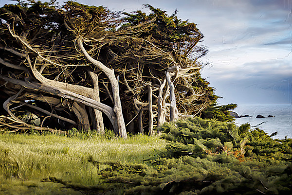 Winds of Change by Lewis Jackson, Image 1.