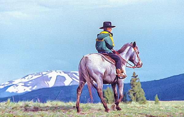 Young Cowboy by Lewis Jackson, Image 1.