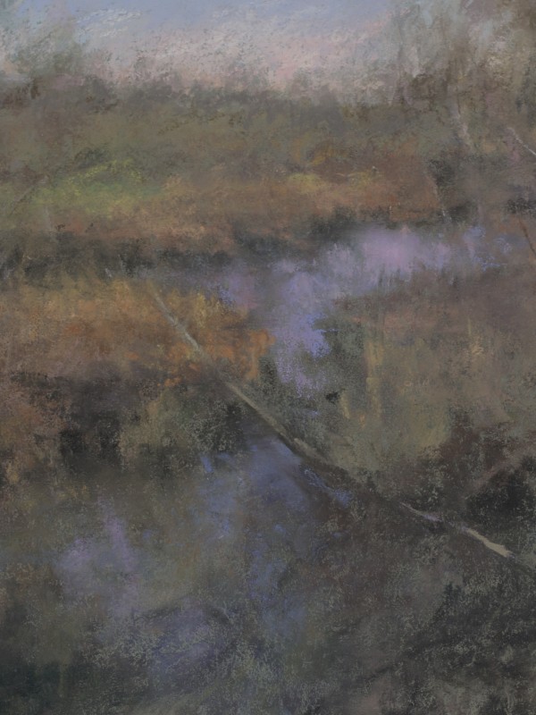 Wetland by Sabrina Stiles