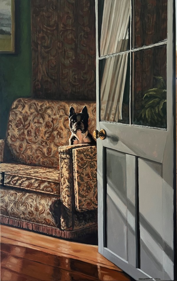 "Bulldog on Brocade" 50 x 80cm, oil on canvas by Kim Harding