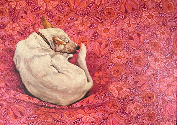 Dreaming in Pink by Kim Harding