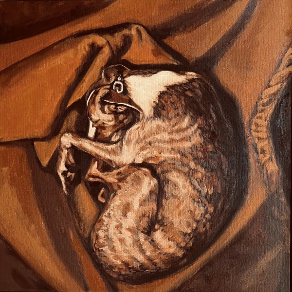 "Dreamtime" 50 x 50cm, oil on canvas by Kim Harding