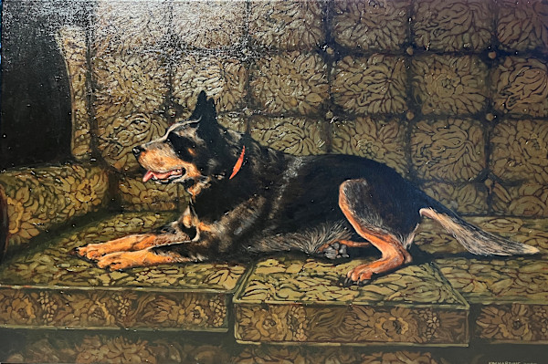 Freddy by Kim Harding