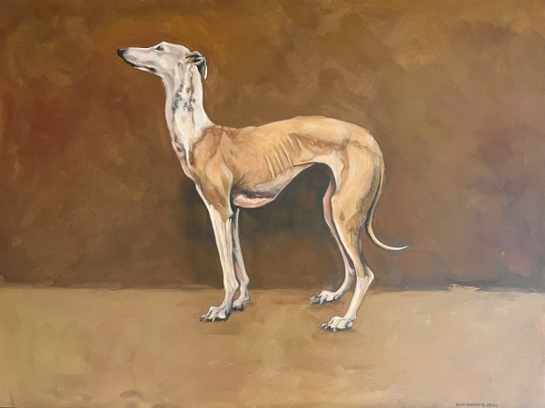 "Greyhound on a Yellow Wall" 80 x 60cm, oil on canvas by Kim Harding