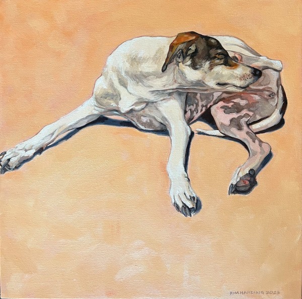 "Indolent" Oil on Canvas 40 x 40cm by Kim Harding