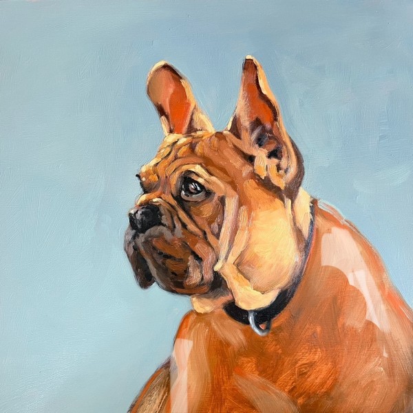 "Pierre" 30 x 30cm, oil on canvas by Kim Harding