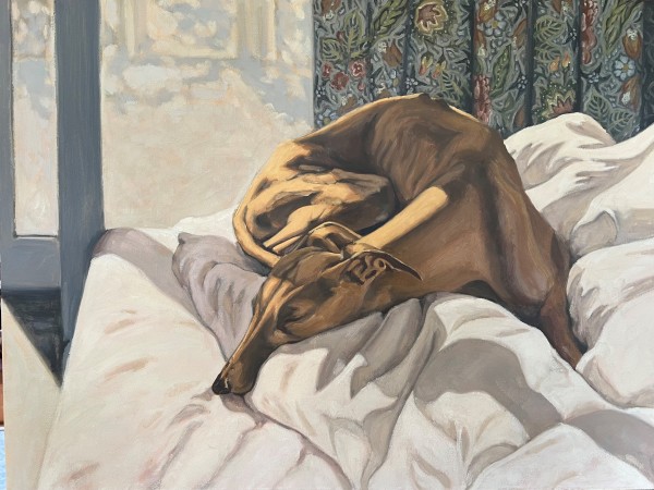"Yellow Dog" 80 x 60cm, oil on canvas by Kim Harding