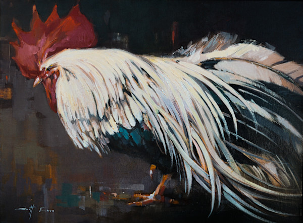 Rooster Study #2 by scott ewen