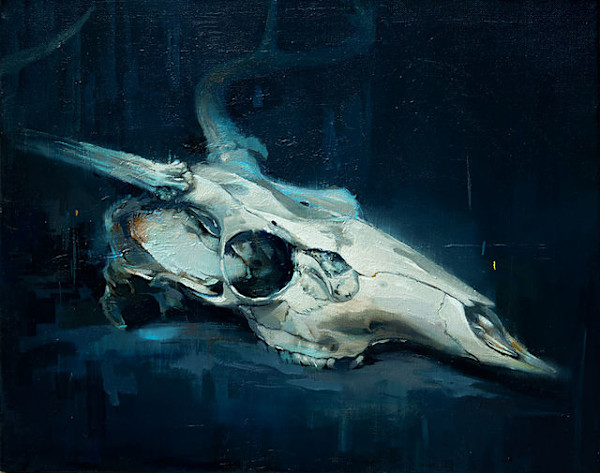 Deer Skull Study #2 by scott ewen