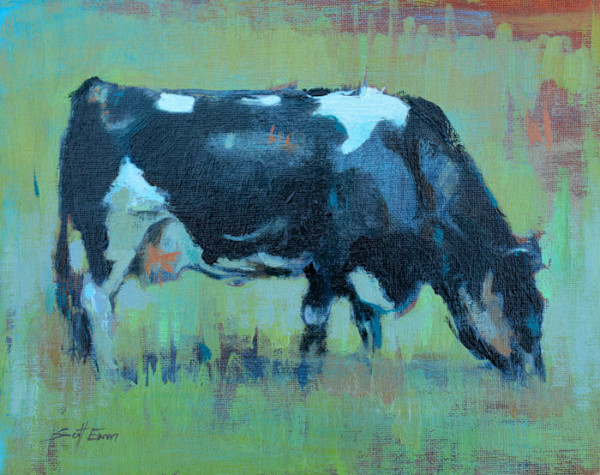 Cow by scott ewen, Image 11.