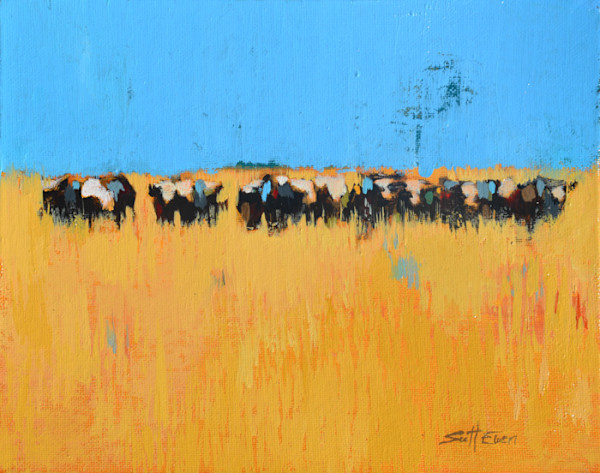Sunny Field by scott ewen, Image 13.