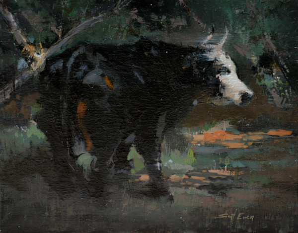 Cow Under Texas Tree by scott ewen