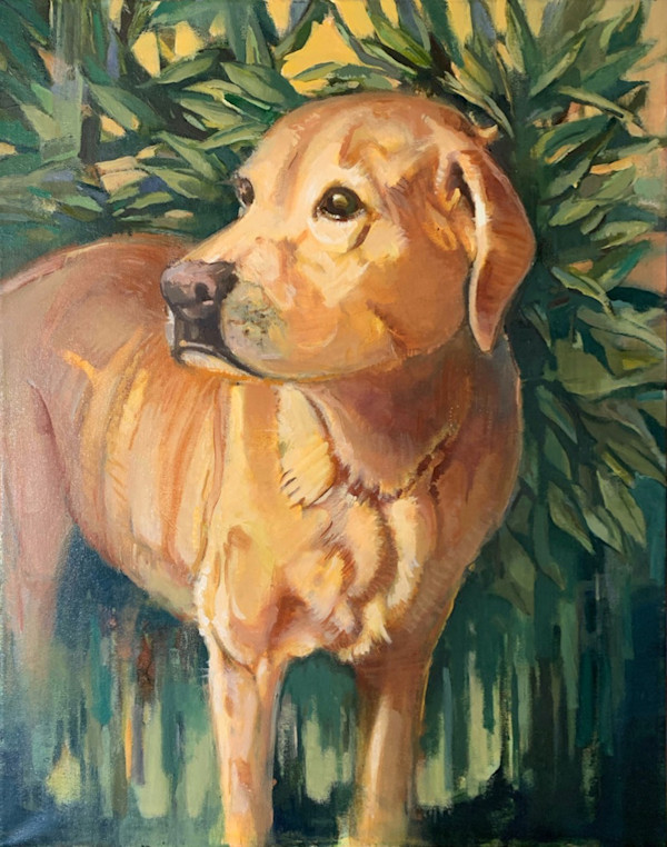 Dixie by scott ewen, Image 1.