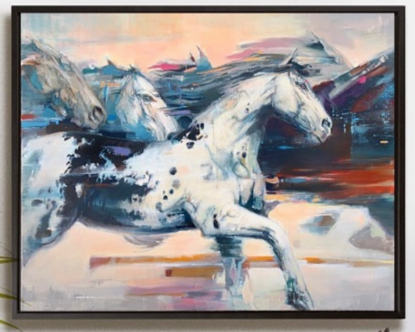 Wild Appaloosa by scott ewen