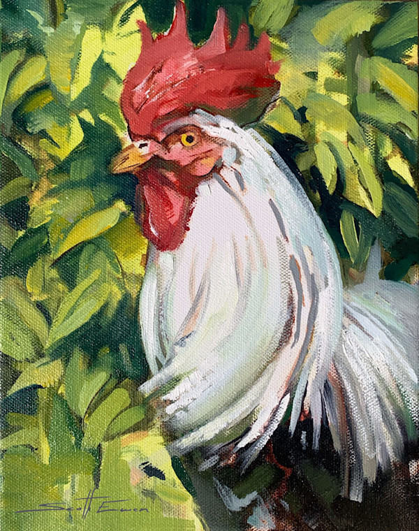 Rooster #3 by scott ewen