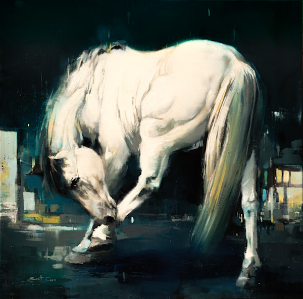 Caravaggio's Horse by scott ewen