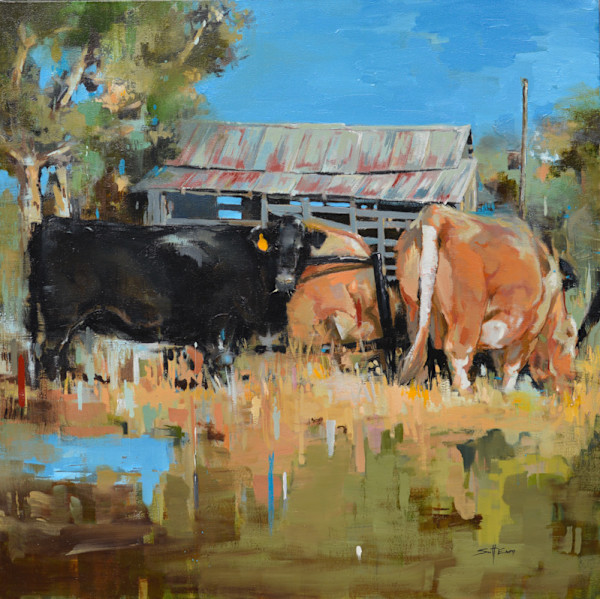 The Hay Shed by scott ewen