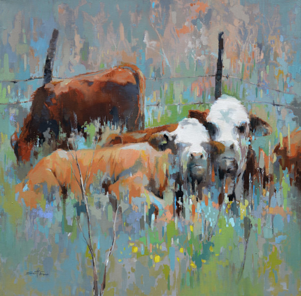Cow Pasture by scott ewen