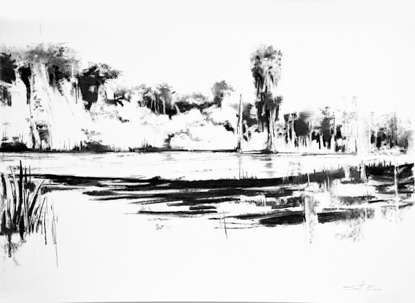 Louisiana Landscsape by scott ewen, Image 4.