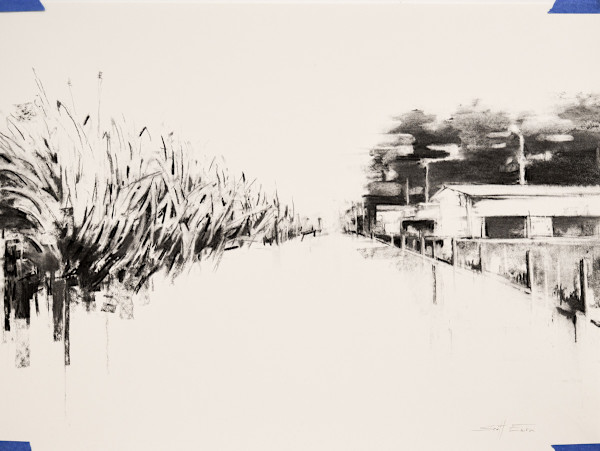 Louisiana Landscsape by scott ewen, Image 3.