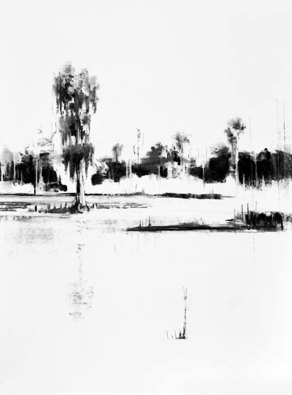 Louisiana Landscsape by scott ewen, Image 7.