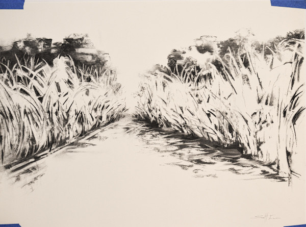 Louisiana Landscsape by scott ewen, Image 5.
