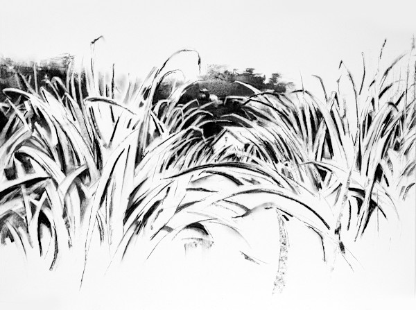 Louisiana Landscsape by scott ewen, Image 6.