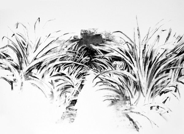 Louisiana Landscsape by scott ewen, Image 9.