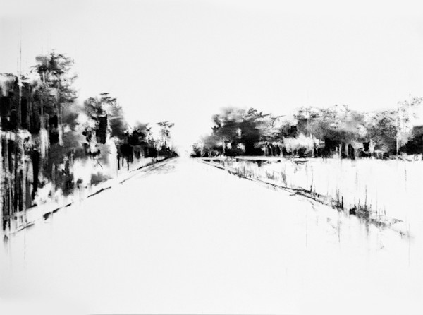 Louisiana Landscsape by scott ewen, Image 12.