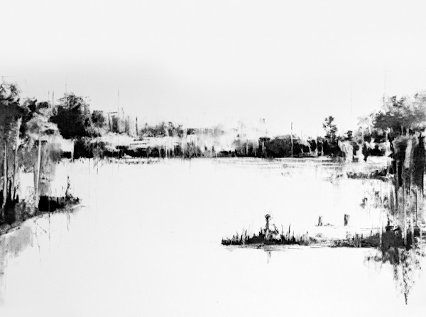 Louisiana Landscsape by scott ewen, Image 13.