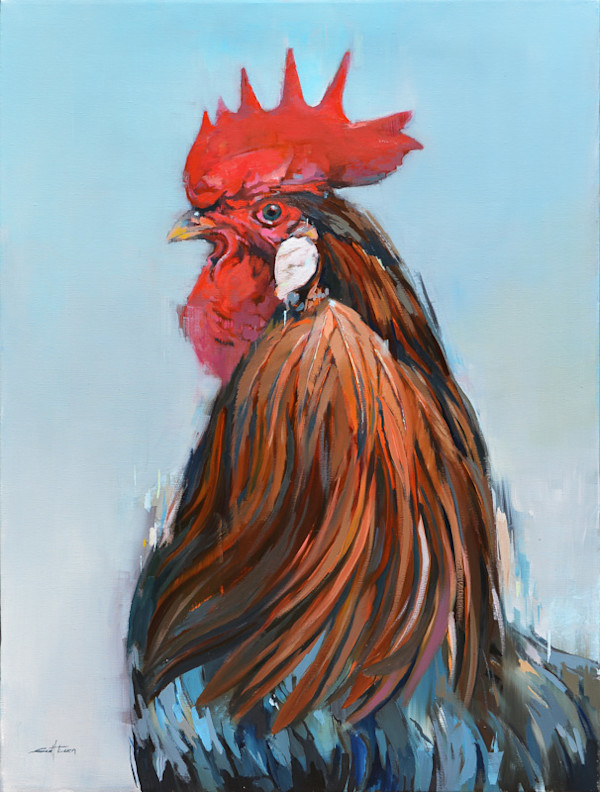 French Rooster by scott ewen