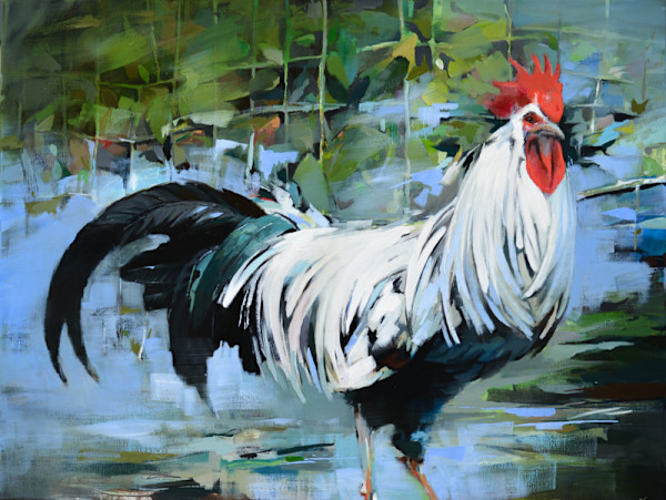 White Rooster by scott ewen