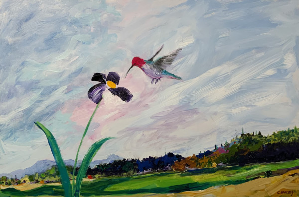 Anna’s Hummingbird by Christopher Harvey