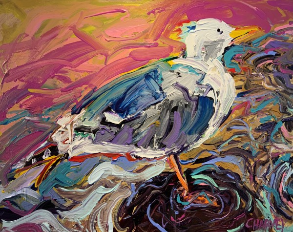 San Diego Seagull by Christopher Harvey